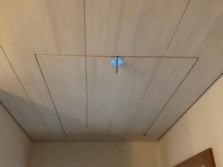 Hofstetter Panelendecke